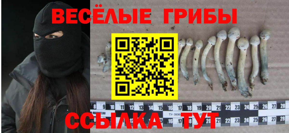 Электросталь  Галлюциногенные грибы прущие грибы  Вход с VPN 